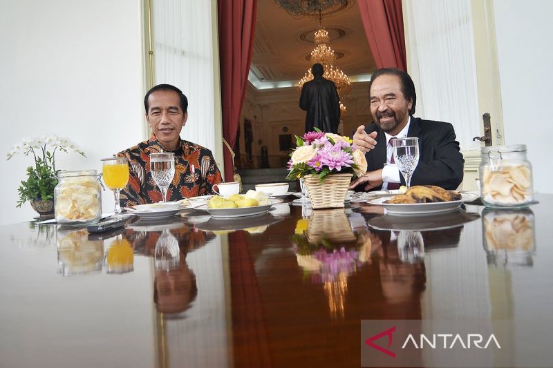 NasDem: Pertemuan Jokowi dan Paloh sudah lazim