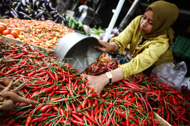 Harga cabai naik di Palangka Raya