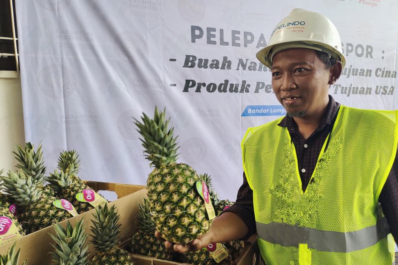 manfaat-cuka-nanas-untuk-kesehatan-tubuh-dan-efek-sampingnya