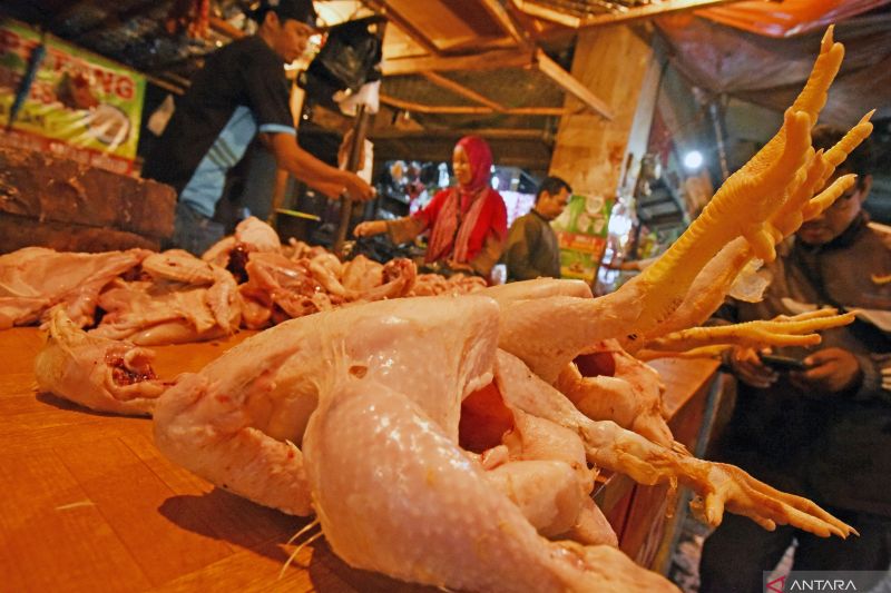 Arab Saudi galakkan konsumsi bertanggung jawab kurangi limbah daging