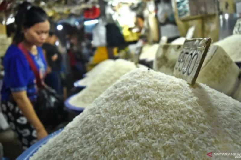 Filipina berlakukan pengurangan pajak impor beras menjadi 15 persen