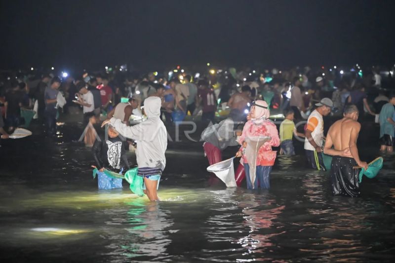 Tradisi Bau Nyale di Mandalika Lombok