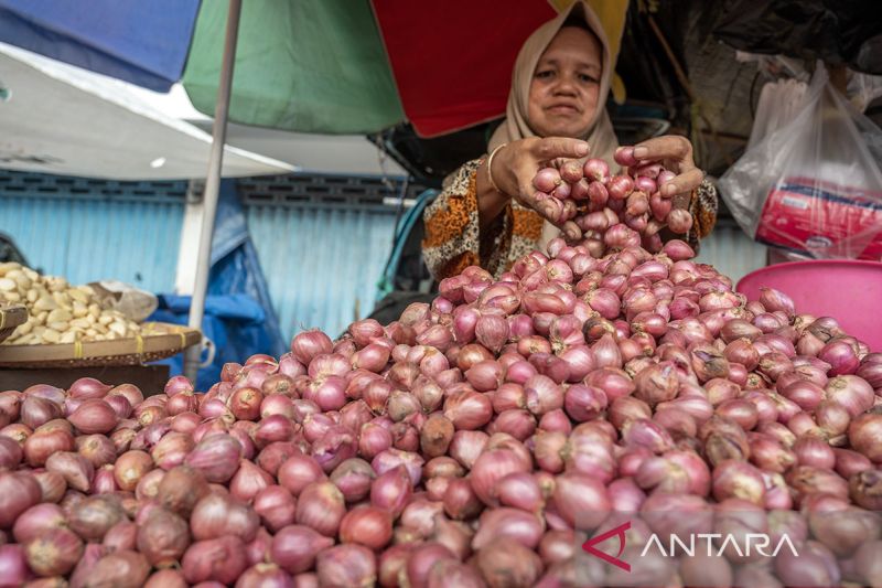 Tren penurunan harga bawang merah di Palu