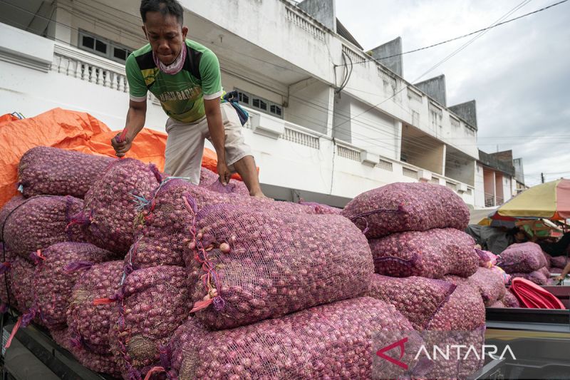 Tren penurunan harga bawang merah di Palu