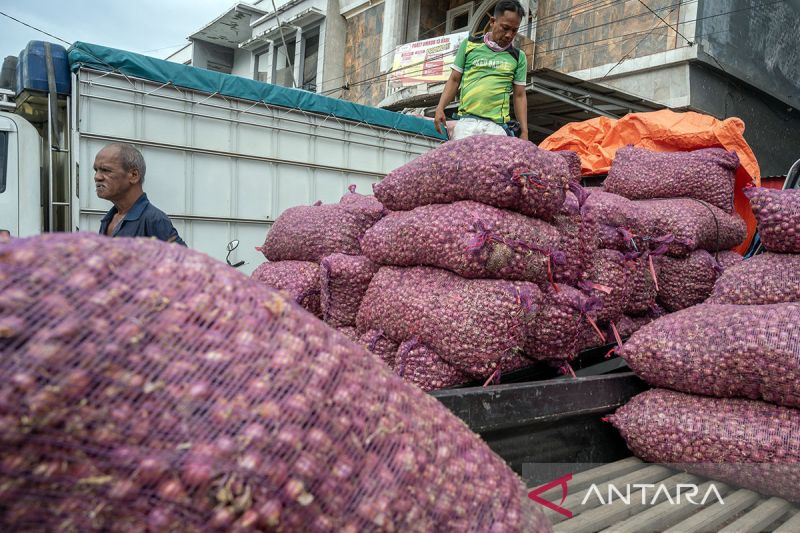 Tren penurunan harga bawang merah di Palu