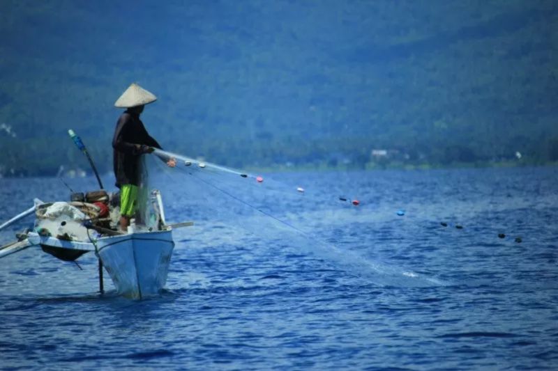 membangun-kedaulatan-pangan-biru-dengan-sinergi-ekonomi-biru-dan-mbg