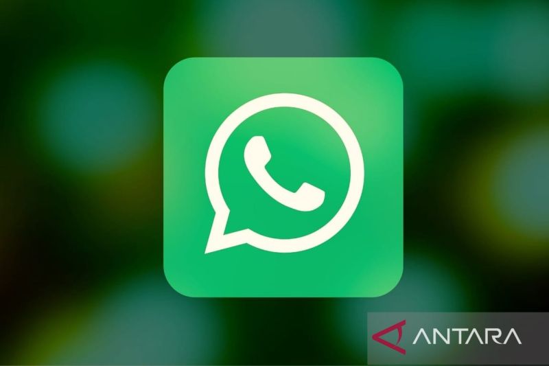 WhatsApp uji fitur peringkat pembaruan status