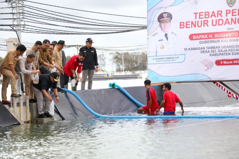 PLN UID Kalselteng dukung elektrifikasi di 'Shrimp Estate' Kalteng