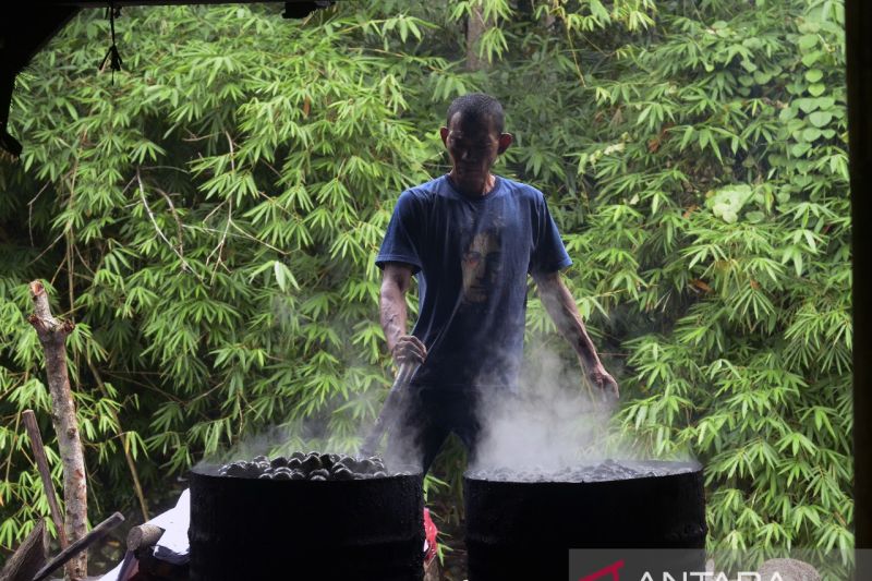 Produksi buah kolang kaling di Bandarlampung