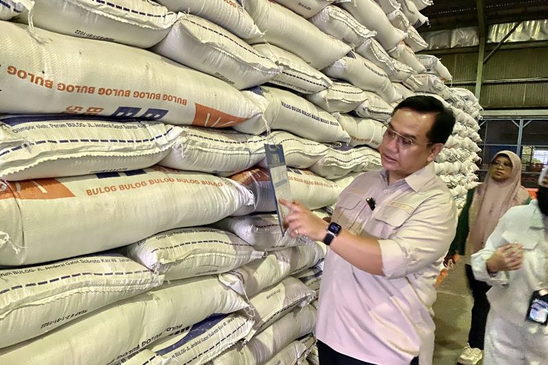 Ombudsman RI minta pemerintah rumuskan strategi impor beras ke depan
