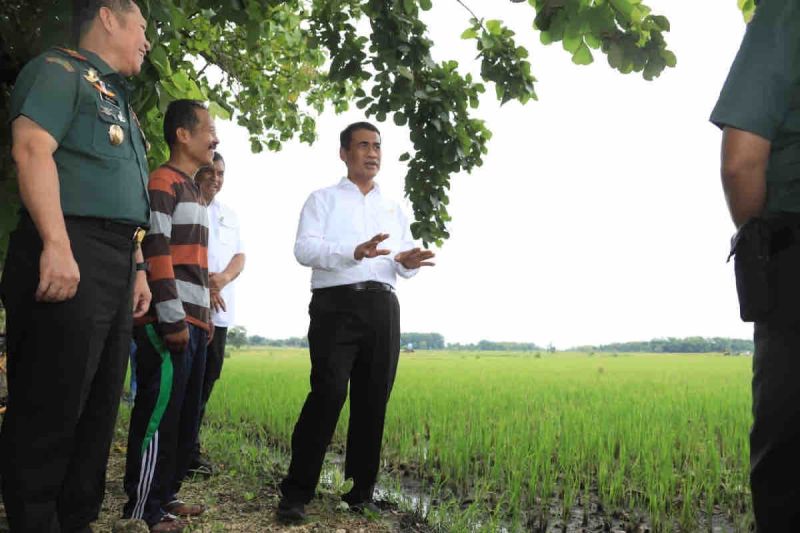 Mentan: "Refocusing" anggaran demi pangan dan petani Indonesia