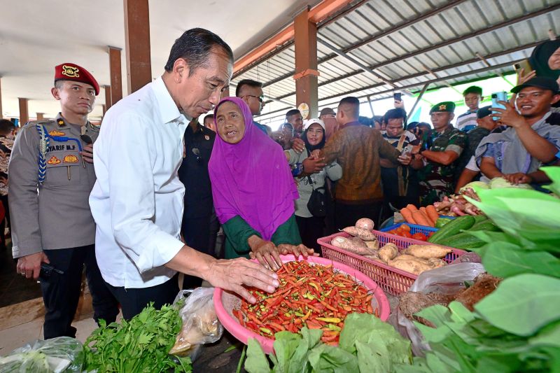 Presiden sebut harga bahan pokok di Pasar Sebukit Rama Mempawah stabil