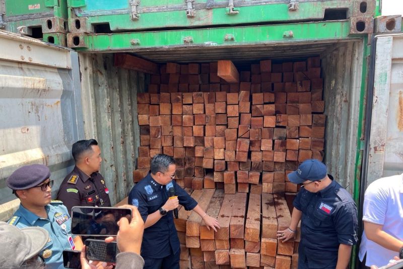 KLHK amankan 55 kontainer kayu ilegal di Jatim
