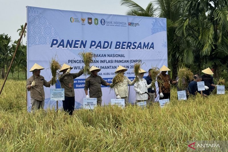 BI Kalbar melalui GNPIP dampingi petani jaga ketersediaan beras