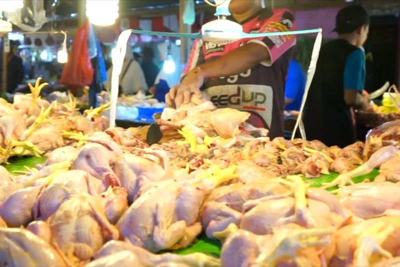 Kemendag sebut harga daging ayam naik, masyarakat tak perlu panik