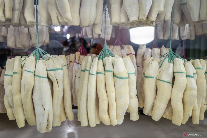8-manfaat-tape-singkong-bagi-kesehatan-dan-efek-sampingnya