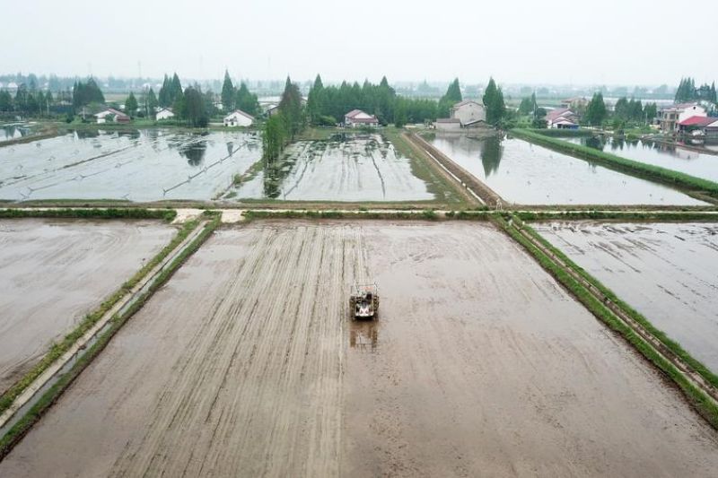 Platform pintar dukung pengembangan pertanian di Hunan, China tengah
