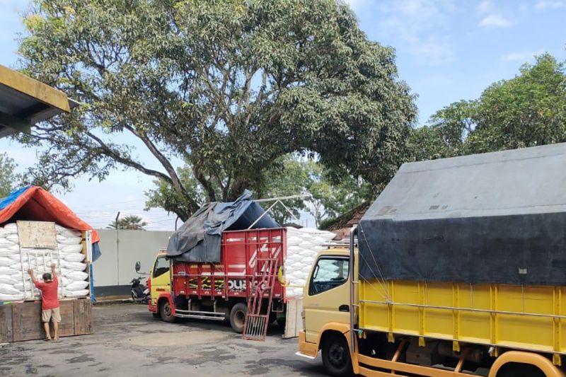 Bulog Banyumas mulai serap gabah-beras hasil panen petani