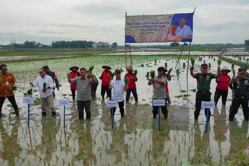 Kementan dorong empat kabupaten di Jateng percepat tanam padi