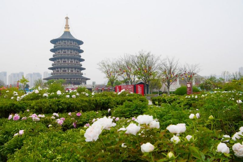 Taman situs arkeologi China catat pertumbuhan pendapatan siginifikan