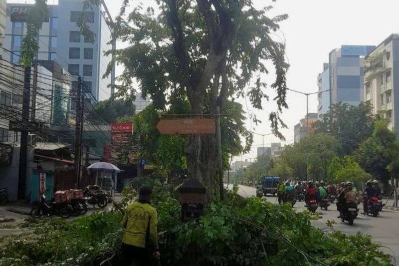 Tindaklanjuti aduan warga, Tamhut Jakbar pangkas pepohonan di Gropet 