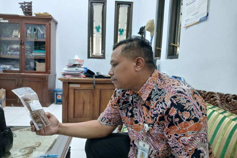 Pemkab Temanggung sediakan bantuan gratis benih tembakau 100-120 kg