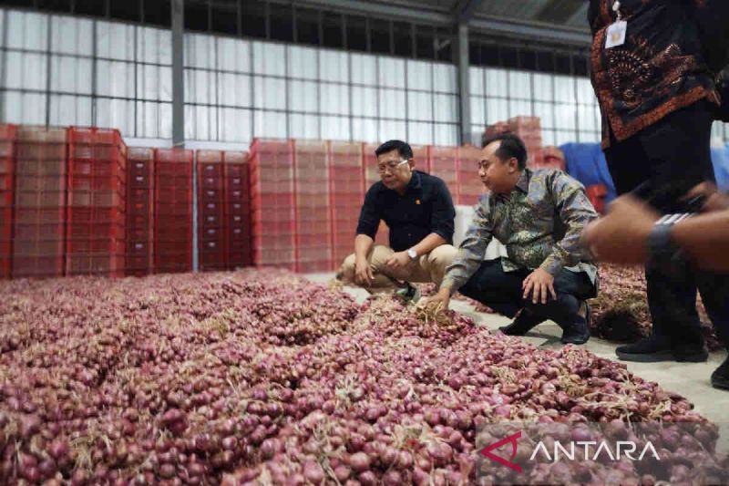 Bapanas siapkan 63 titik GPM di Jakarta stabilkan harga bawang merah
