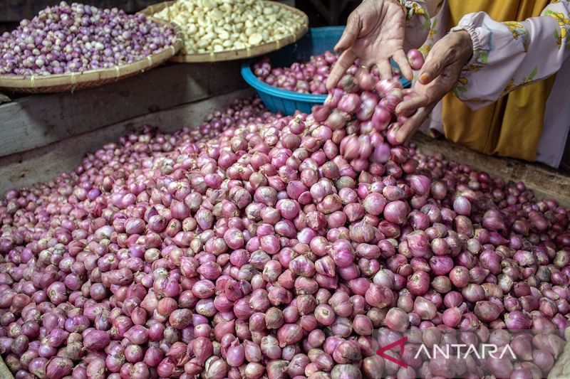 Harga bawang merah di Palu mulai turun