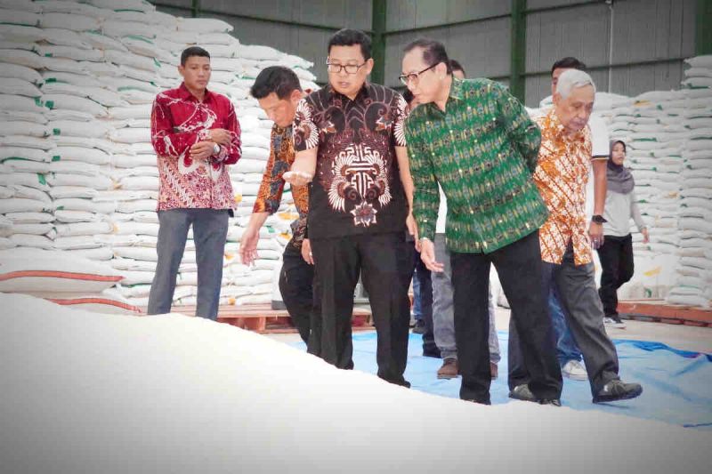 Bapanas dorong optimalisasi panen raya penuhi stok CPP di Cirebon