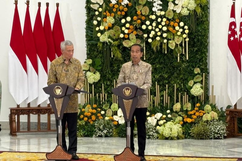 Jokowi: 29 perusahaan Singapura antusias berinvestasi di IKN