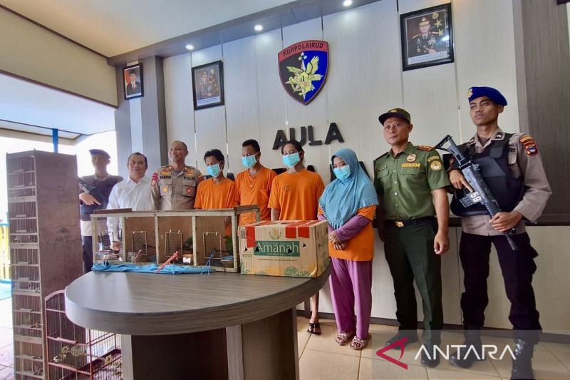 Polresta Banjarmasin tangkap empat pelaku jual beli satwa dilindungi