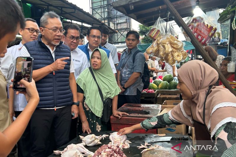 Mendag sebut harga beras dan bawang merah mulai normal