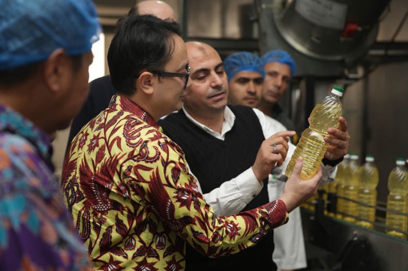 Wamendag Jerry: Indonesia-Mesir siapkan kolaborasi bidang minyak sawit