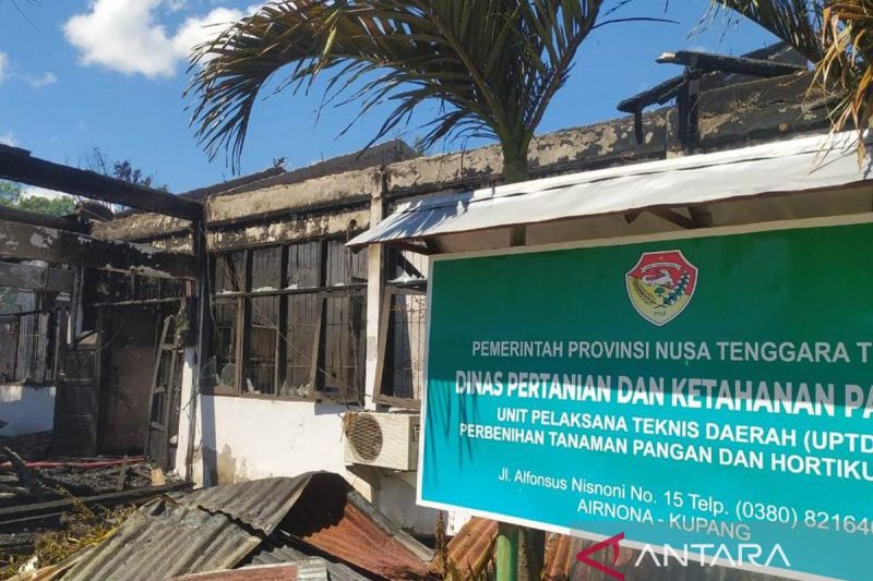 Polisi selidiki penyebab terbakarnya gedung kantor UPTD pembenihan