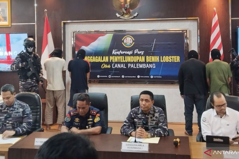 Pangkalan TNI AL Palembang gagalkan penyelundupan lobster ke Singapura