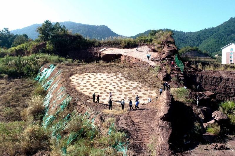 Jejak deinonychosaurus terbesar di dunia ditemukan di Fujian China