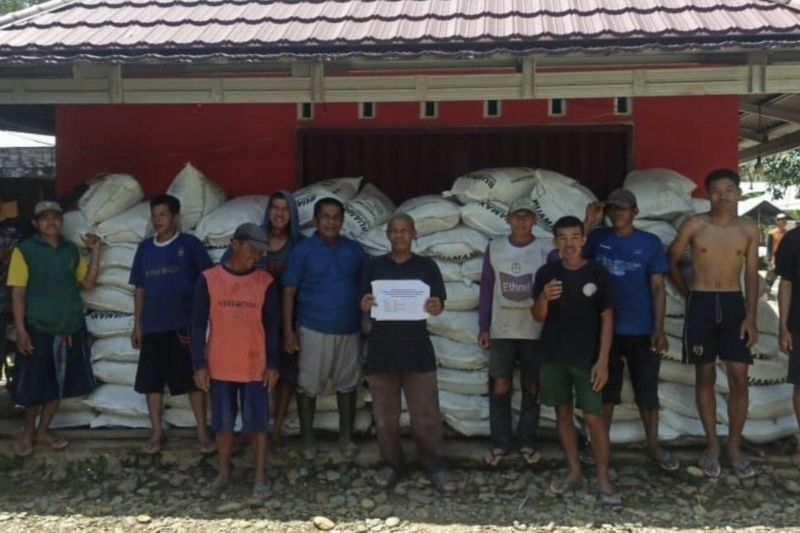 Petani Hulu Sungai Tengah dapat bantuan peremajaan karet 350 hektare