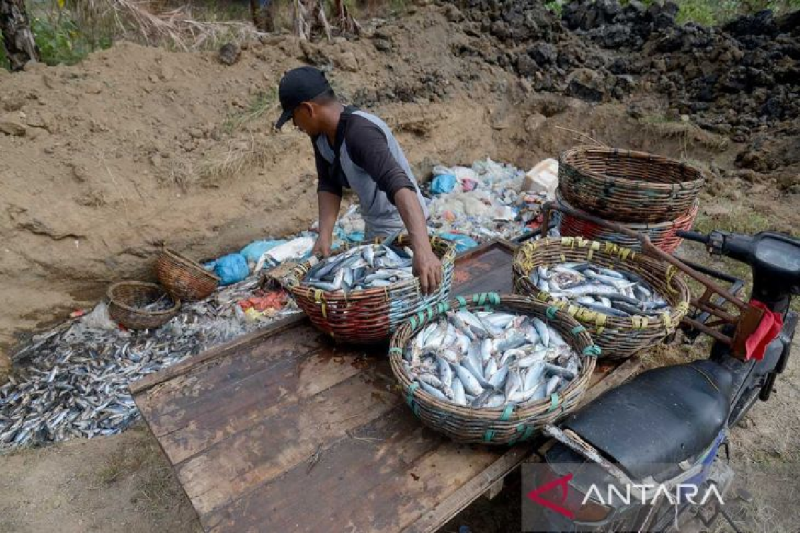 KKP memaksimalkan serapan ikan hasil tangkapan nelayan Aceh