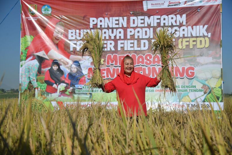 Pemkot Semarang gandeng BRIN majukan pertanian lewat teknologi