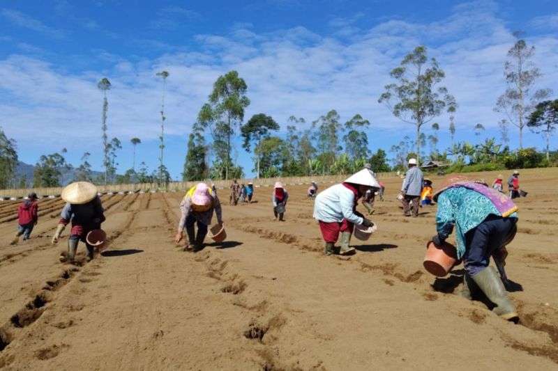 isdb-optimistis-upland-project-kementan-sejahterakan-petani-indonesia