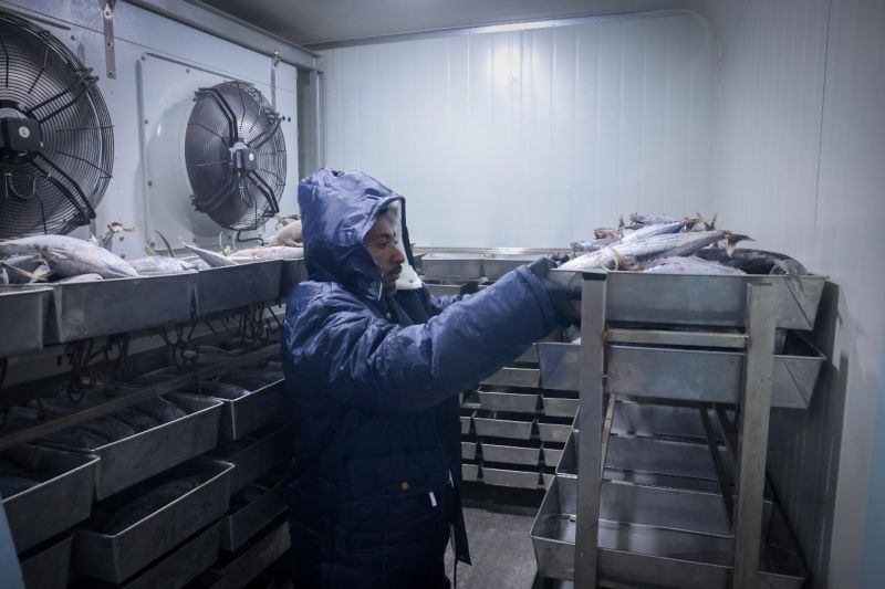 Menkop UKM ingin meningkatkan model bisnis koperasi ikan tuna di Biak