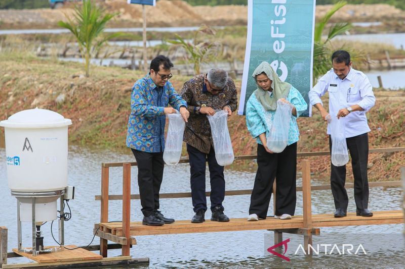 Pj Gubernur: Teknologi bantu kembangkan budi daya perikanan di Aceh