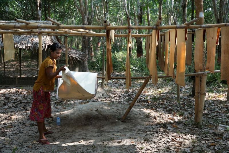 Album Asia: Menengok aktivitas petani karet di Myanmar