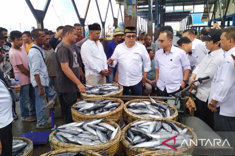 KKP upayakan solusi jangka pendek tangani ikan berlimpah di Aceh