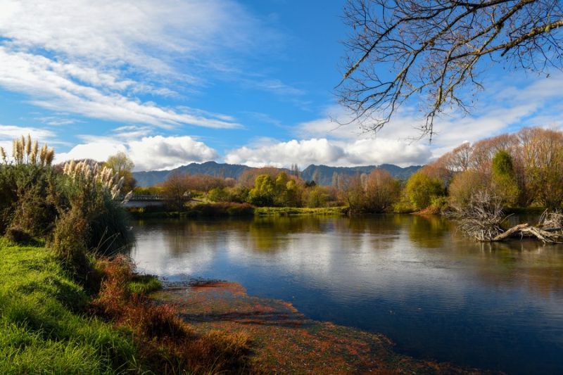 Album: Keindahan pemandangan musim gugur di Pulau Utara Selandia Baru
