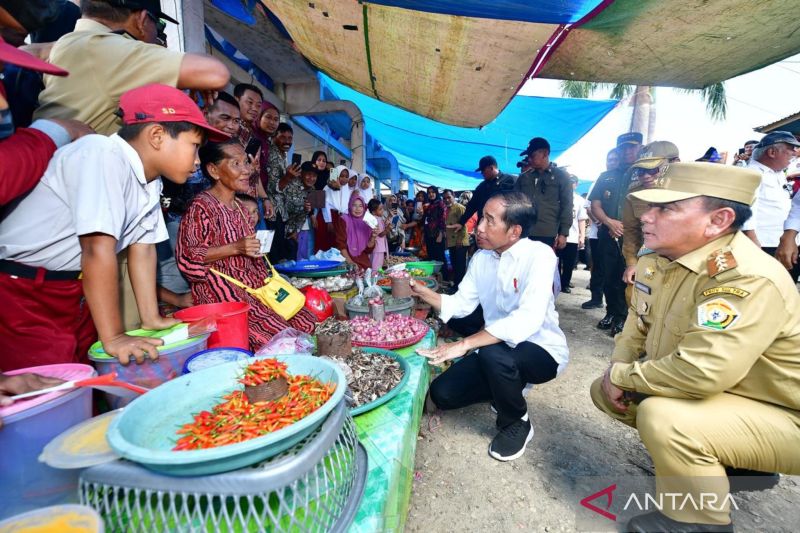 Presiden Jokowi cek ketersediaan bahan pokok di pasar Lacarai Kolut