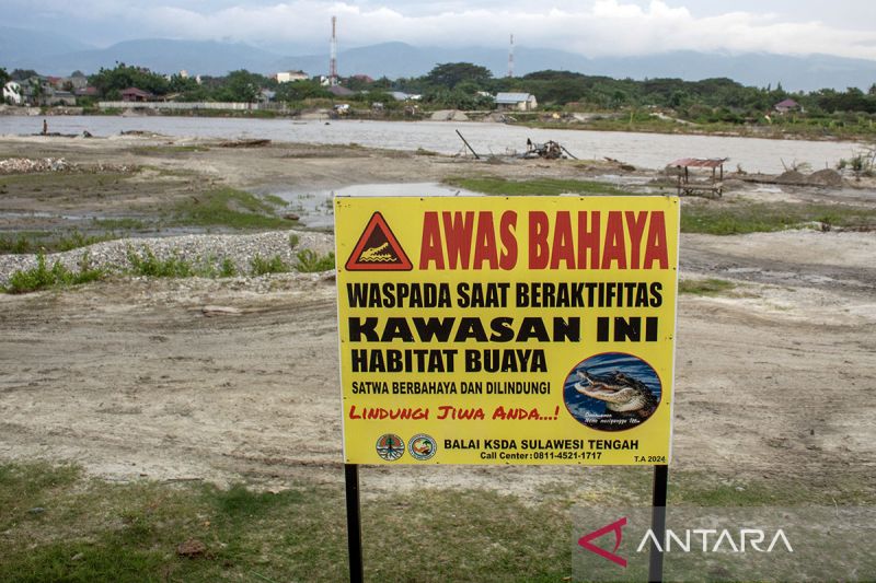 Pemasangan papan peringatan bahaya buaya di Sungai palu