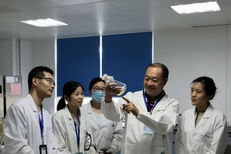 Ilmuwan China kembangkan terobosan baru atasi kanker pada tanaman