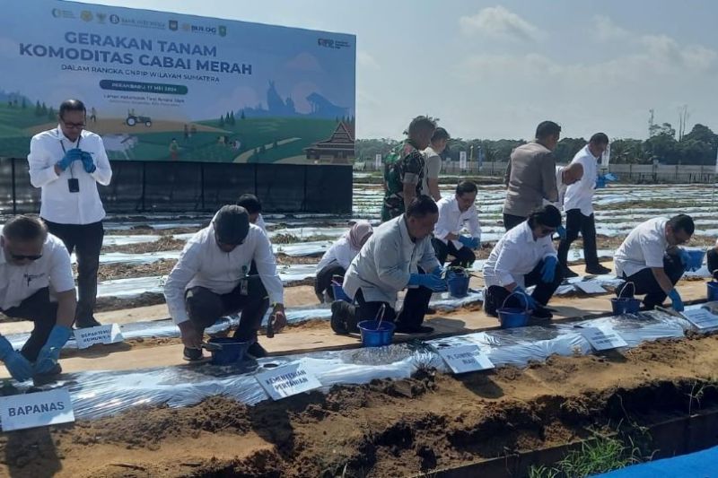 Penjabat Gubernur Riau bersama BI luncurkan GNPIP Sumatera 2024
