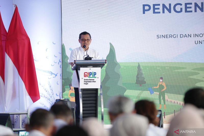 kemenko-sebut-pentingnya-pengendalian-inflasi-di-sumatera-usai-bencana